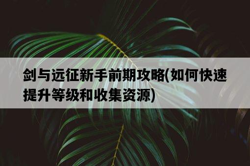 劍與遠征新手前期攻略，如何快速提升等級和收集資源-圖1