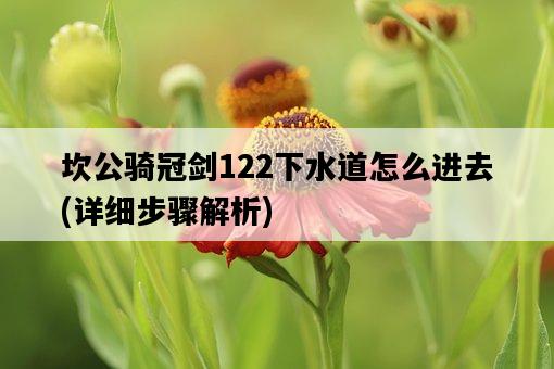 坎公騎冠劍122下水道怎么進去，詳細步驟解析-圖1