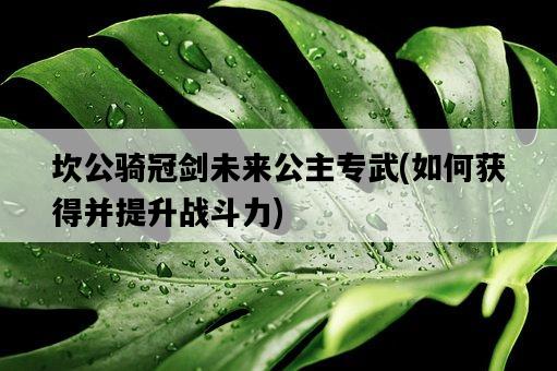 坎公騎冠劍未來公主專武，如何獲得并提升戰斗力-圖1