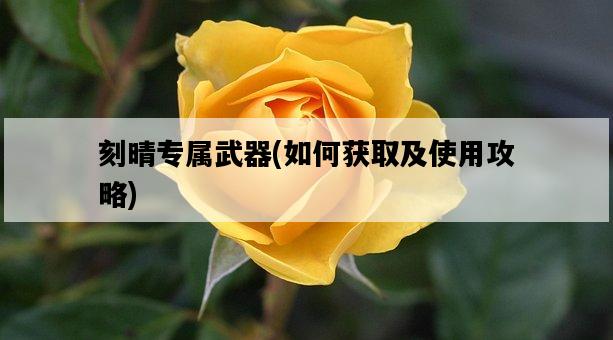 刻晴專屬武器,如何獲取及使用攻略-圖1 刻晴專屬武器,如何獲取及使用攻略-圖1