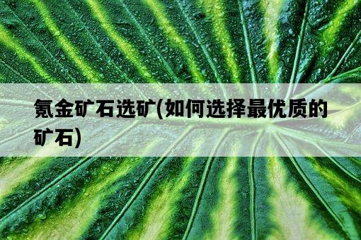 氪金礦石選礦，如何選擇最優質的礦石-圖1