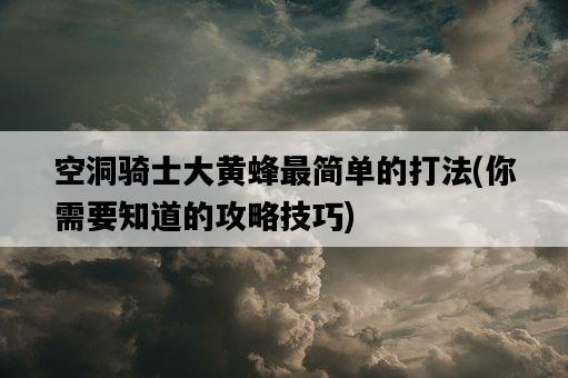 空洞騎士大黃蜂最簡單的打法，你需要知道的攻略技巧-圖1