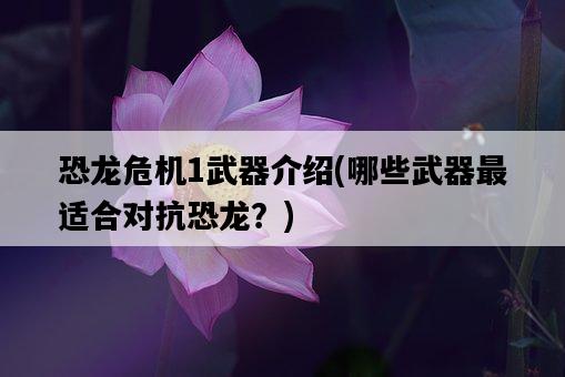 恐龍危機1武器介紹，哪些武器最適合對抗恐龍？-圖1