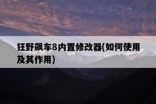 狂野飆車8內置修改器，如何使用及其作用-圖1