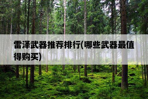 雷澤武器推薦排行，哪些武器最值得購買-圖1
