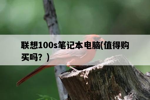 聯想100s筆記本電腦,值得購買嗎?-圖1 聯想100s筆記本電腦,值得購買嗎?-圖1