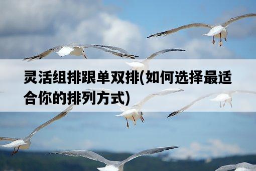 靈活組排跟單雙排，如何選擇最適合你的排列方式-圖1