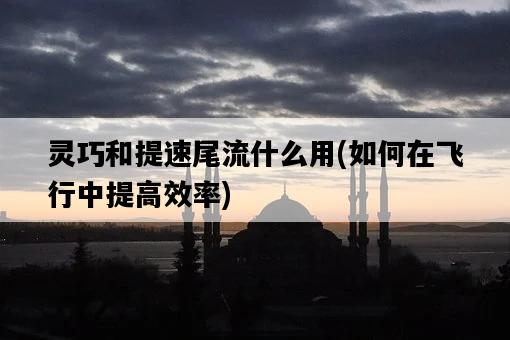 靈巧和提速尾流什么用,如何在飛行中提高效率-圖1 靈巧和提速尾流什么用,如何在飛行中提高效率-圖1