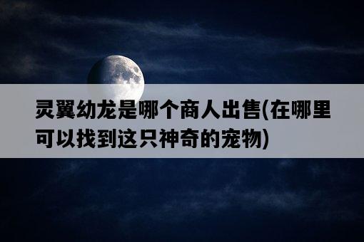 靈翼幼龍是哪個商人出售，在哪里可以找到這只神奇的寵物-圖1