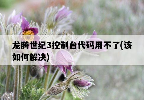 龍騰世紀3控制臺代碼用不了,該如何解決-圖1 龍騰世紀3控制臺代碼用不了,該如何解決-圖1