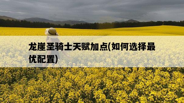 龍崖圣騎士天賦加點，如何選擇最優配置-圖1