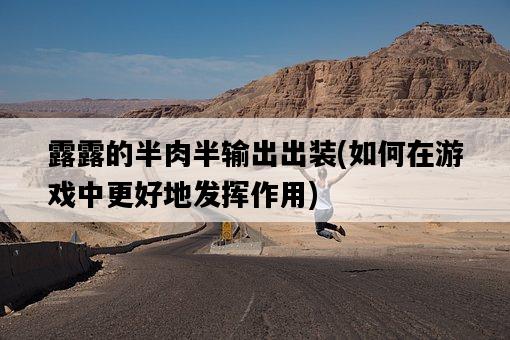 露露的半肉半輸出出裝，如何在游戲中更好地發揮作用-圖1