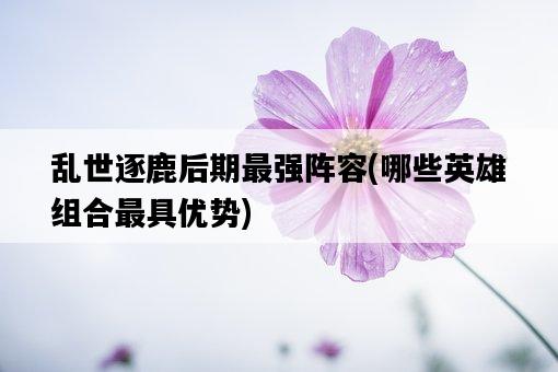 亂世逐鹿后期最強陣容，哪些英雄組合最具優勢-圖1