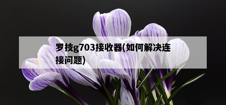 羅技g703接收器，如何解決連接問題-圖1