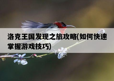 洛克王國發現之旅攻略，如何快速掌握游戲技巧-圖1