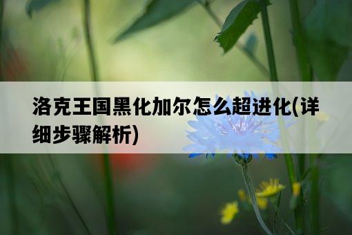 洛克王國黑化加爾怎么超進化，詳細步驟解析-圖1
