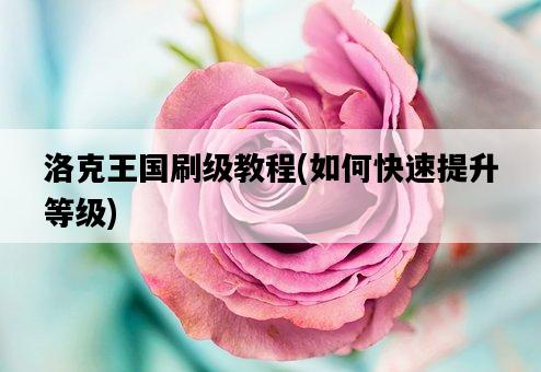 洛克王國刷級教程，如何快速提升等級-圖1