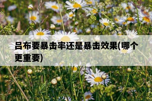 呂布要暴擊率還是暴擊效果，哪個更重要-圖1