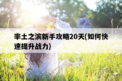 率土之濱新手攻略20天,如何快速提升戰力-圖1 率土之濱新手攻略20天,如何快速提升戰力-圖1