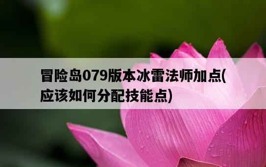 冒險島079版本冰雷法師加點，應該如何分配技能點-圖1