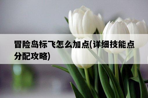 冒險島標飛怎么加點，詳細技能點分配攻略-圖1