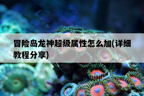 冒險島龍神超級屬性怎么加，詳細教程分享-圖1