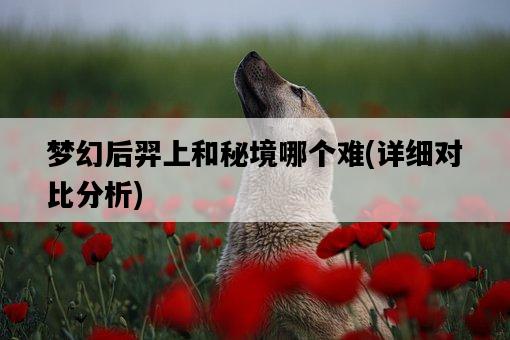 夢幻后羿上和秘境哪個難，詳細對比分析-圖1