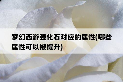 夢幻西游強化石對應的屬性,哪些屬性可以被提升-圖1 夢幻西游強化石對應的屬性,哪些屬性可以被提升-圖1