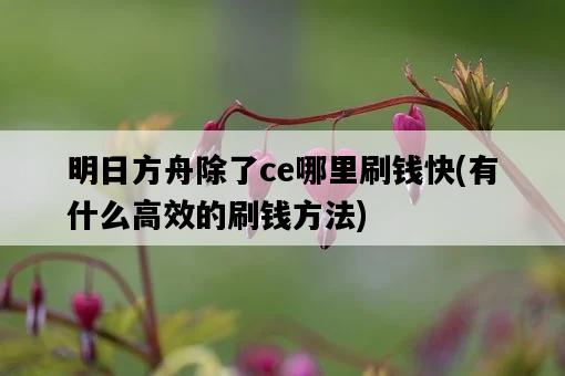 明日方舟除了ce哪里刷錢快，有什么高效的刷錢方法-圖1