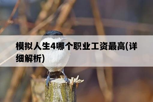 模擬人生4哪個職業工資最高，詳細解析-圖1