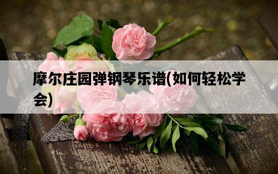 摩爾莊園彈鋼琴樂譜，如何輕松學會-圖1