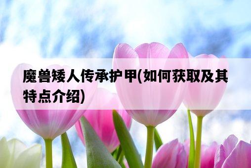 魔獸矮人傳承護甲，如何獲取及其特點介紹-圖1