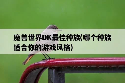 魔獸世界DK最佳種族，哪個種族適合你的游戲風格-圖1