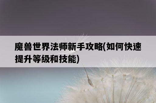 魔獸世界法師新手攻略，如何快速提升等級和技能-圖1