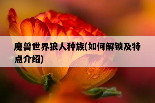 魔獸世界狼人種族，如何解鎖及特點介紹-圖1