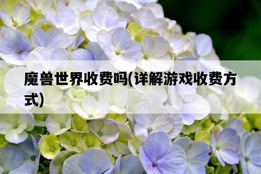 魔獸世界收費嗎，詳解游戲收費方式-圖1