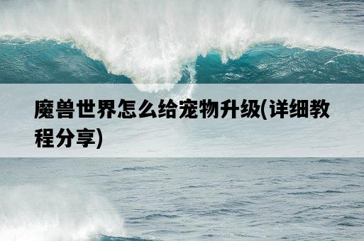 魔獸世界怎么給寵物升級，詳細教程分享-圖1