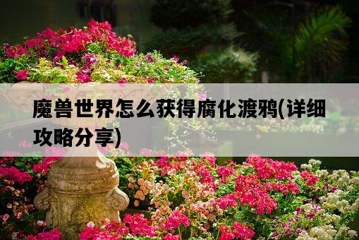 魔獸世界怎么獲得腐化渡鴉，詳細攻略分享-圖1