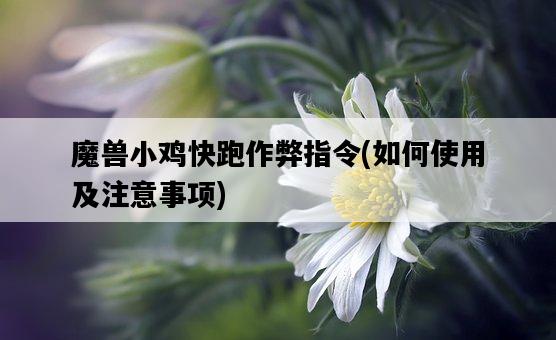 魔獸小雞快跑作弊指令，如何使用及注意事項-圖1