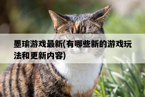 墨瑜游戲最新,有哪些新的游戲玩法和更新內容-圖1 墨瑜游戲最新,有哪些新的游戲玩法和更新內容-圖1