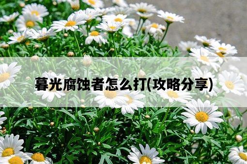 暮光腐蝕者怎么打,攻略分享-圖1 暮光腐蝕者怎么打,攻略分享-圖1