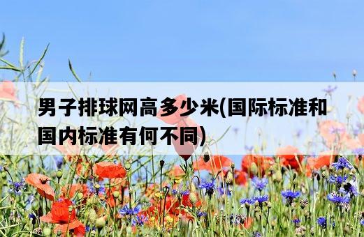 男子排球網高多少米，國際標準和國內標準有何不同-圖1