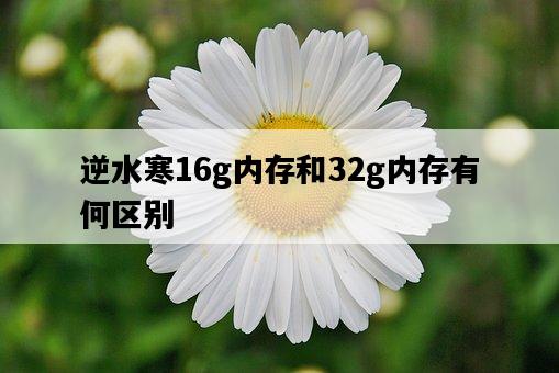 逆水寒16g內存和32g內存有何區別-圖1