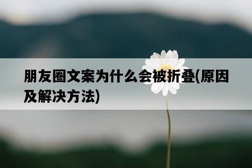 朋友圈文案為什么會被折疊，原因及解決方法-圖1
