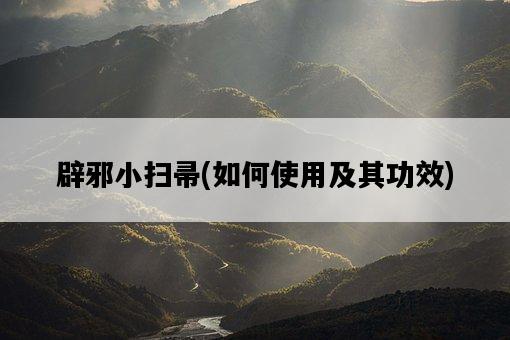 辟邪小掃帚，如何使用及其功效-圖1
