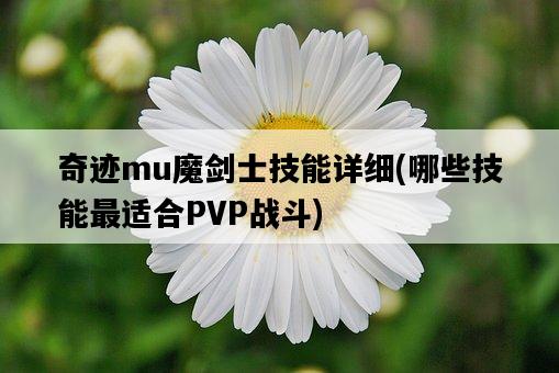 奇跡mu魔劍士技能詳細，哪些技能最適合PVP戰斗-圖1