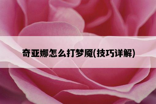 奇亞娜怎么打夢魘，技巧詳解-圖1