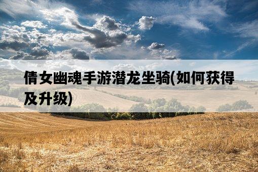 倩女幽魂手游潛龍坐騎，如何獲得及升級-圖1