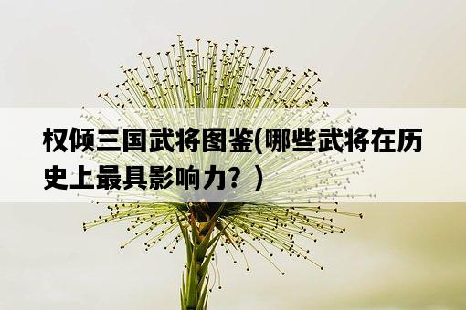 權傾三國武將圖鑒，哪些武將在歷史上最具影響力？-圖1