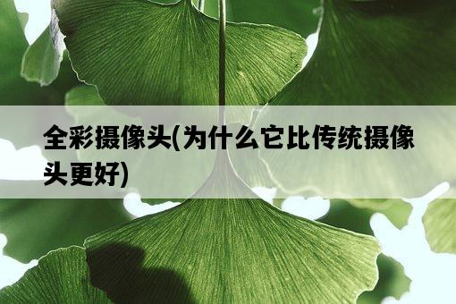 全彩攝像頭，為什么它比傳統攝像頭更好-圖1